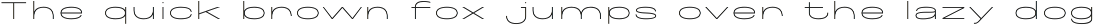 Maincode preview