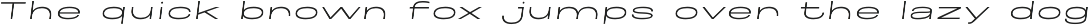 Maincode preview