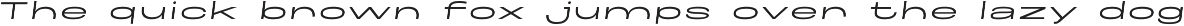 Maincode preview
