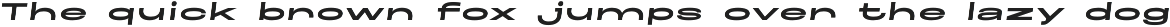 Maincode preview