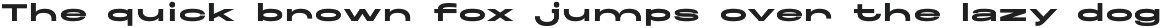 Maincode preview