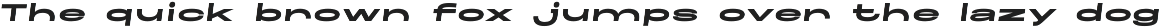 Maincode preview