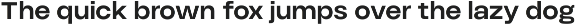HD Node Sans preview