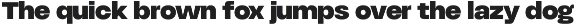 HD Node Sans preview