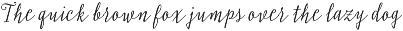 Typnic "Typographic Picnic" preview