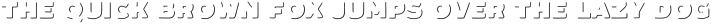 Typnic otf (300)