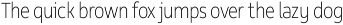 Rehn Condensed preview