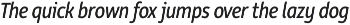 Rehn Condensed preview