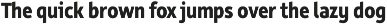 Rehn Condensed preview