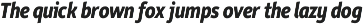 Rehn Condensed preview