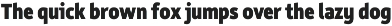 Rehn Condensed preview