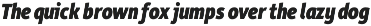 Rehn Condensed preview