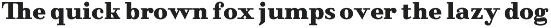 NoraPen preview