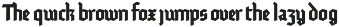 Tannen preview