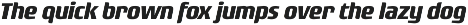 Rogue Sans Nova preview