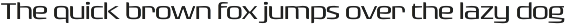 Rogue Sans Nova preview