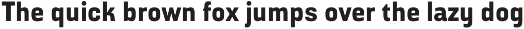 Broadside Text preview