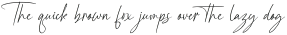 Southampton Brilliant Italic Italic otf (400)