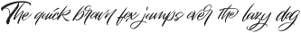Black Passion – Brush Script Font font preview