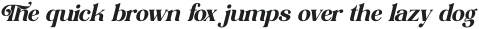 Shine Dailys Italic otf (400)