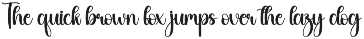 Monkey | Script Font preview