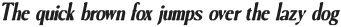 LeciaBlur-Italic otf (400)
