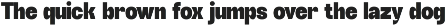 Neue Qophins preview