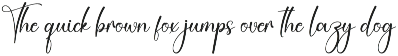 Amsterdam | Script Font preview