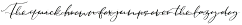 Midnight Bloom Script +18 Free Logos preview