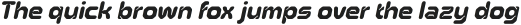 DoreliaRounded-Italic otf (400)