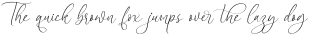 Frostsky Pinthera Italic Italic otf (400)