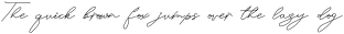 Classic Signature Italic otf (400)