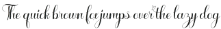 Stella-Italic otf (400)