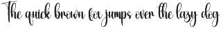 Autography | Script Font preview