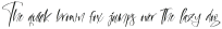Basketball Shooting Italic otf (400)