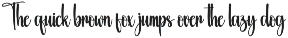 Butterfly | Script Font preview