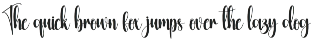 Markers | Script Font preview