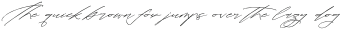 Tropicals Graceful Italic otf (400)