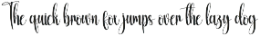 Vintage | Script Font preview