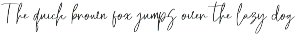 Sofija Elegant Script Font preview