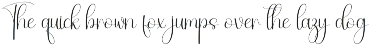 Rainday | Script Font preview