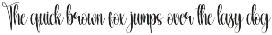 Spring | Script Font preview