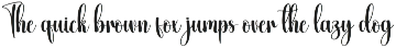 Vacation | Script Font preview