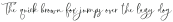 ThickeAndThatchScript Script otf (400)