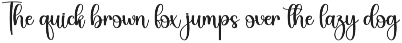 Delightful | Script Font preview