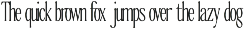 The Qualified Family (54 Fonts) preview