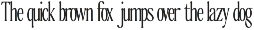 The Qualified Family (54 Fonts) preview