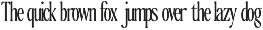The Qualified Family (54 Fonts) preview