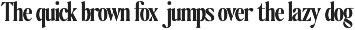The Qualified Family (54 Fonts) preview