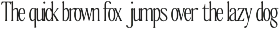 The Qualified Family (54 Fonts) font preview